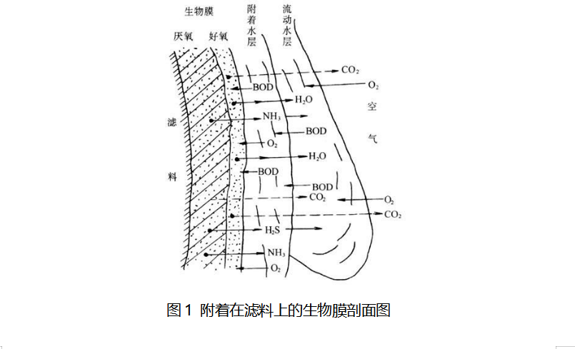 苏州湛清环?？萍加邢薰? width=