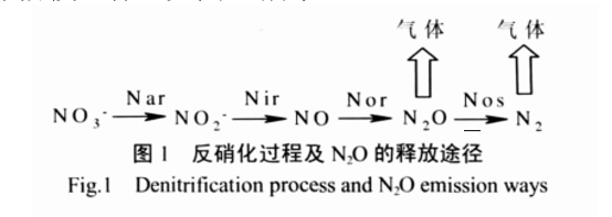 1558581415154371.png 22.png