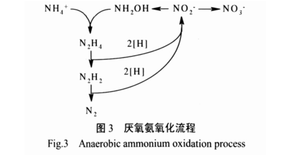 1558581465204304.png 24.png